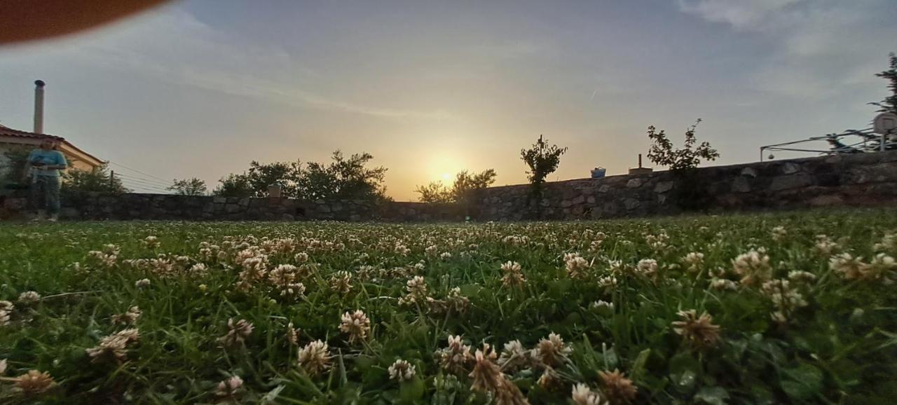 Lovely Διαμέρισμα Καλαμάτα